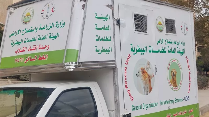 جهاز الشيخ زايد يطلق حملة تطعيم الكلاب ضمن مبادرة مصر 2030  
