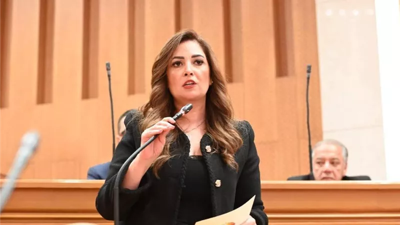 أميرة العادلي تطلب إعفاء «السكن الخاص» من الضريبة العقارية أياً كانت قيمته