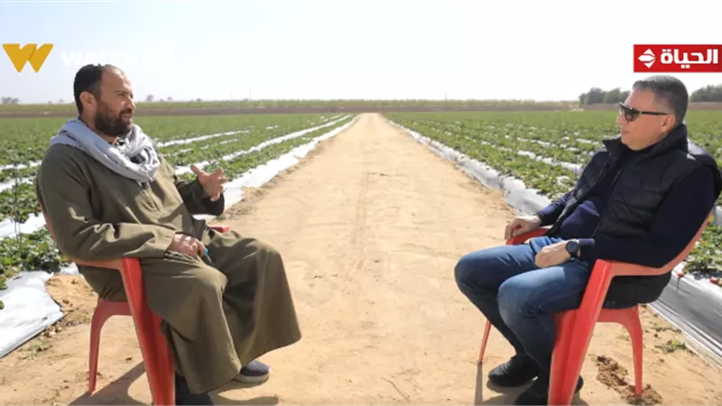 «أجمل ناس».. تجربة ملهمة لفلاح من البحيرة في استصلاح الأراضي|فيديو