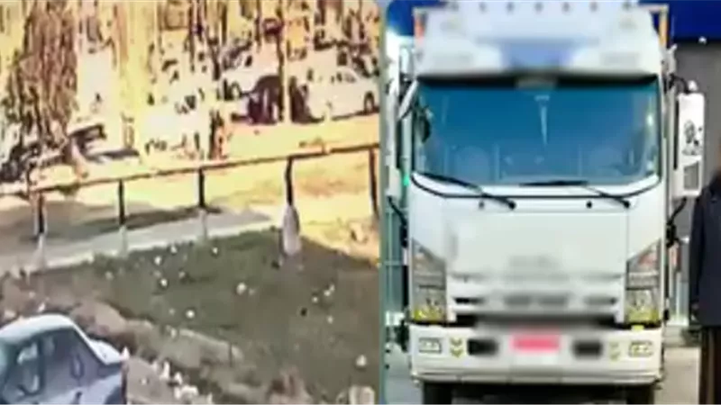 «بتر في الأطراف».. سائق نقل يتسبب في كارثة بالشرقية والأمن يضبطه