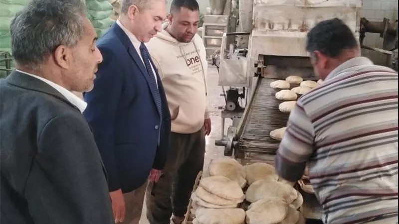 حقوق المواطنين.. حملات رقابية تضبط 785 مخالفة تموينية بالشرقية
