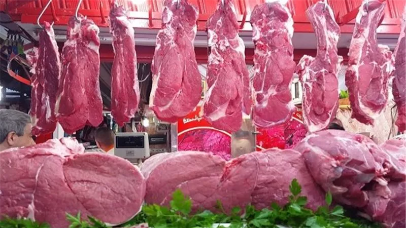 بـ 400 جنيه.. أسعار الدواجن واللحوم والأسماك اليوم بالبحيرة