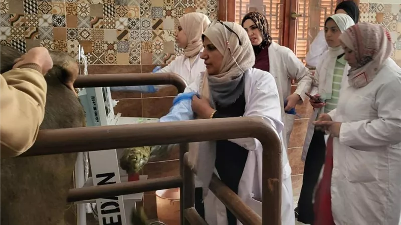 ضبط 290 كيلو لحوم ودواجن وأغذية فاسدة بأسواق الغربية