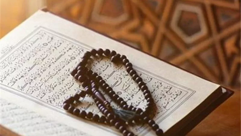 165 آية من الحجج القاطعة.. أسرار سورة الأنعام في مواجهة المشركين