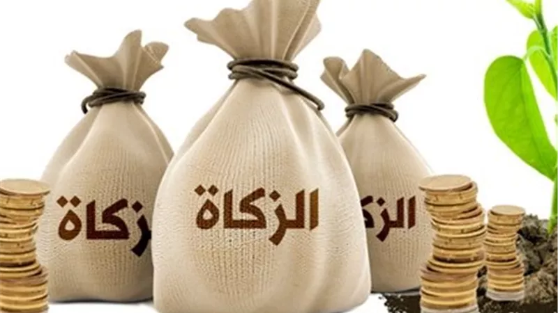 من هم الأشخاص الذين لا يجوز إعطاء الزكاة لهم؟.. الأزهر للفتوى يجيب 