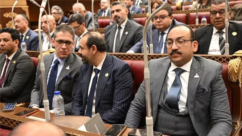 عبدالعاطي أحمد: المرحلة الراهنة تتطلب تكاتفًا عربيًا حقيقيًا