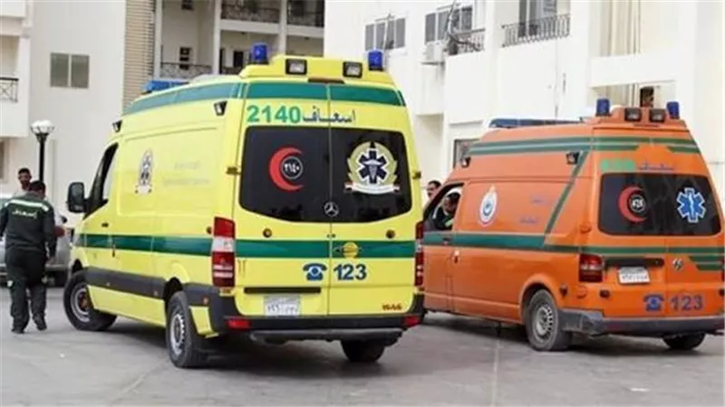 إصابة 13 شخصًا في انقلاب ميني باص بطريق الإسماعيلية – السويس