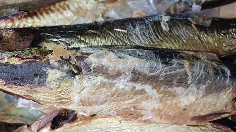 الأمن الاقتصادي يضبط 8 أطنان  رنجة فاسدة داخل مصنع غير مرخص بالدقهلية