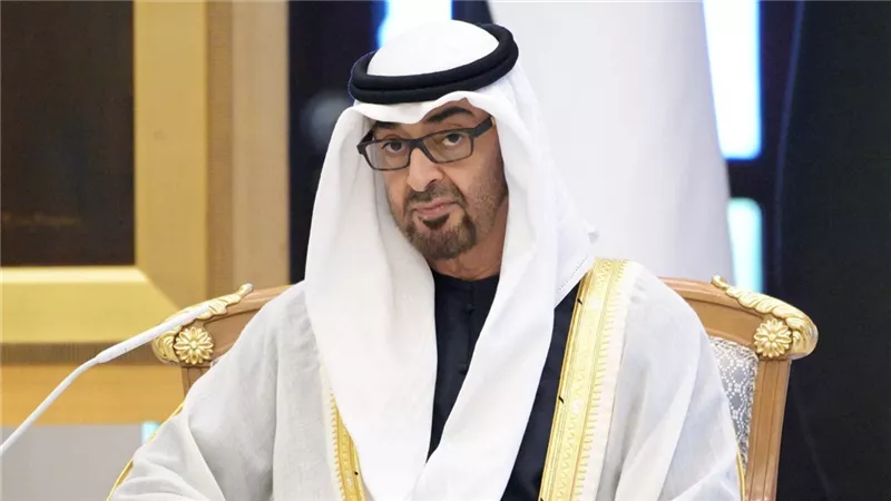 رئيس الإمارات يؤكد ضرورة وقف الأعمال التصعيدية والعودة إلى الحوار