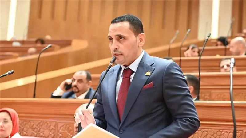 النائب إسلام التلواني: دور مصر محوري في إنهاء الصراع بالمنطقة 