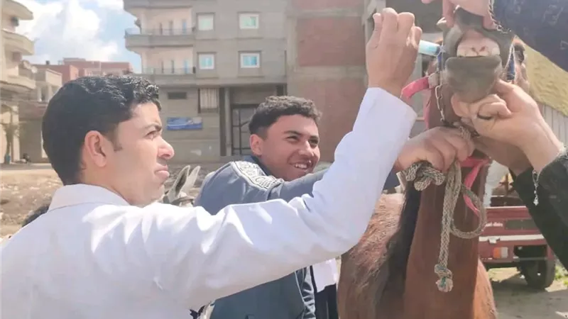 محافظ الدقهلية يتابع قوافل الطب البيطري: علاج 310 رؤوس ماشية و4000 طائر 