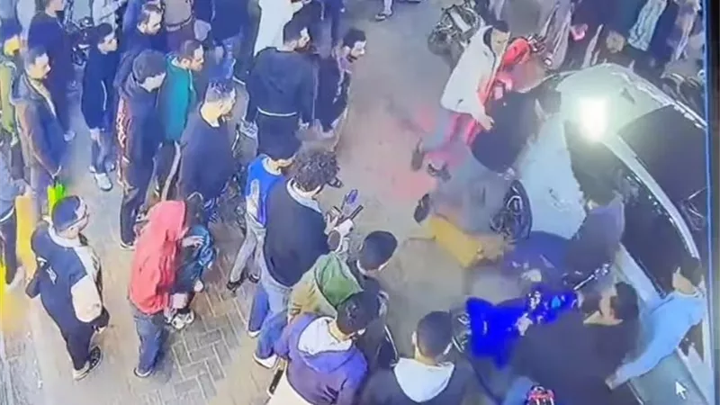 حبس المتهم في قضية «كلب ميدان سرور» 4 سنوات وغرامة 500 ألف جنيه