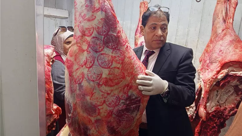 في ضربة قوية.. بيطري الأقصر يضبط 50 كيلو لحوم متغيرة الخواص بالأقصر