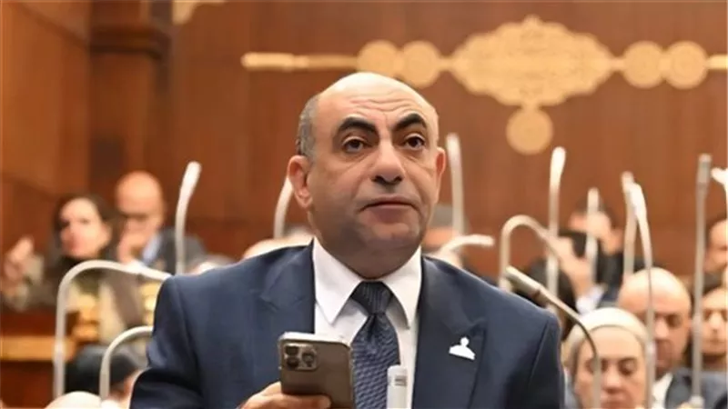 نائب بـ«الشيوخ»: الدولة مؤمَّنة بالكامل والاحتياطيات تكفي لعدة أشهر