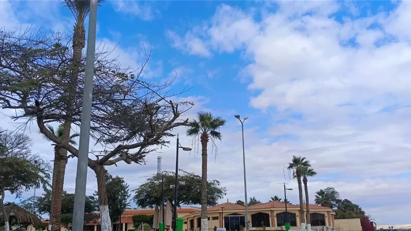 طقس معتدل نهارًا وبرودة ليلًا بالإسماعيلية وتحذيرات من الشبورة
