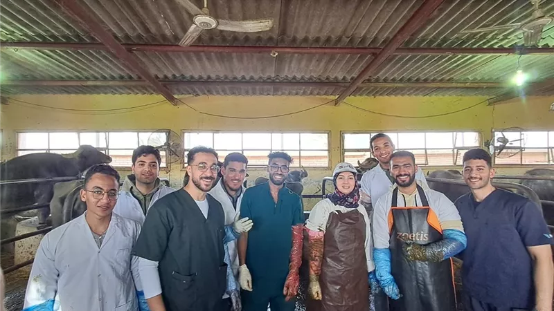 طب بيطري قناة السويس تطلق دورة “التطبيقات الإكلينيكية للموجات فوق الصوتية