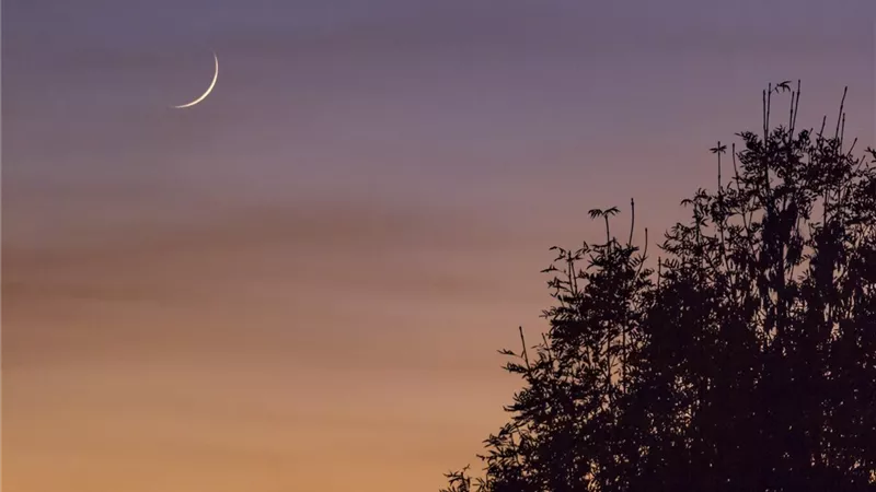 علامات ليلة القدر.. تحروها في العشر الأواخر من رمضان