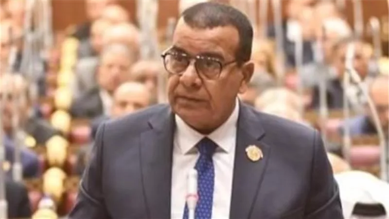 محمود مرجان: تصريحات رئيس الوزراء تؤكد تأمين احتياجات الدولة 
