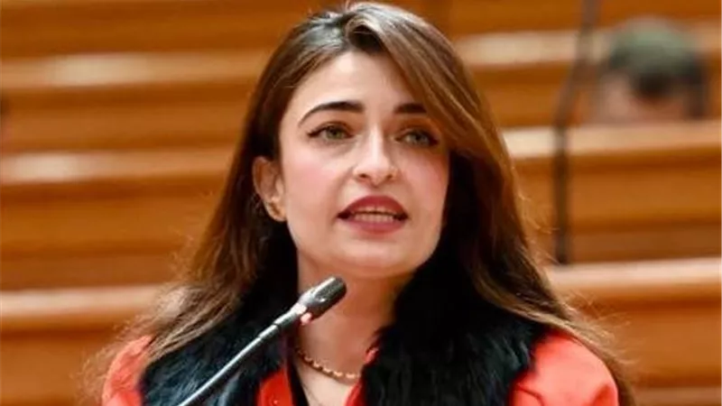إيرين سعيد: دور المعارضة مؤثر وفعال حتى إن لم يحقق كل ما يتمناه البعض