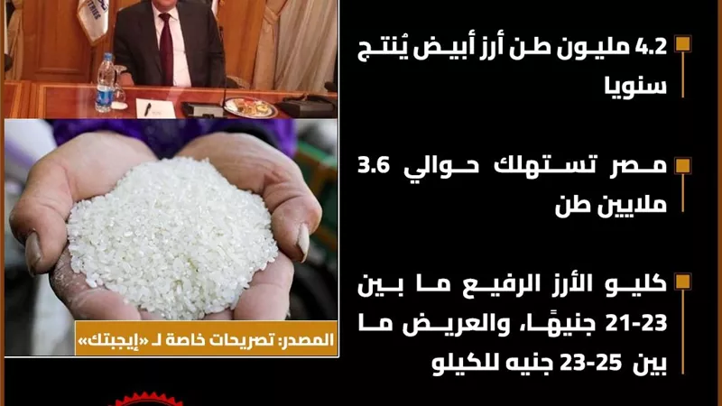 المخزون الاستراتيجي من الأرز في مصر يكفي حتي نوفمبر 2026