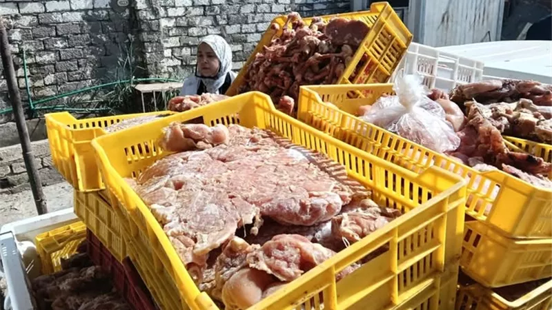 بيطري بالغربية يضبط 345 كيلو لحوم ودواجن غير صالحة للاستهلاك الآدمي 