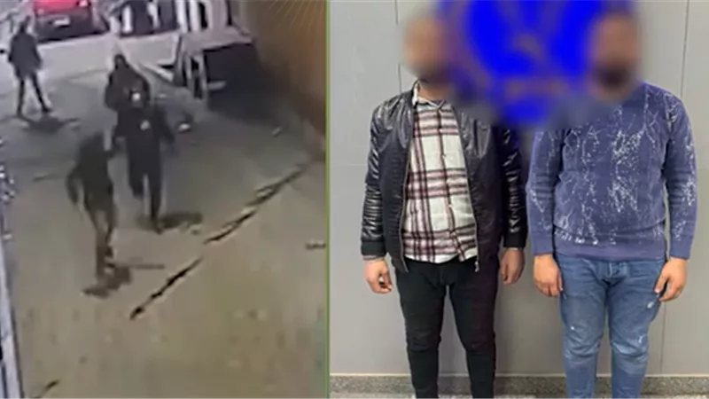 «علقة موت».. عاملان يحطمان ذراعي جارهم في الدقهلية والأمن يتدخل