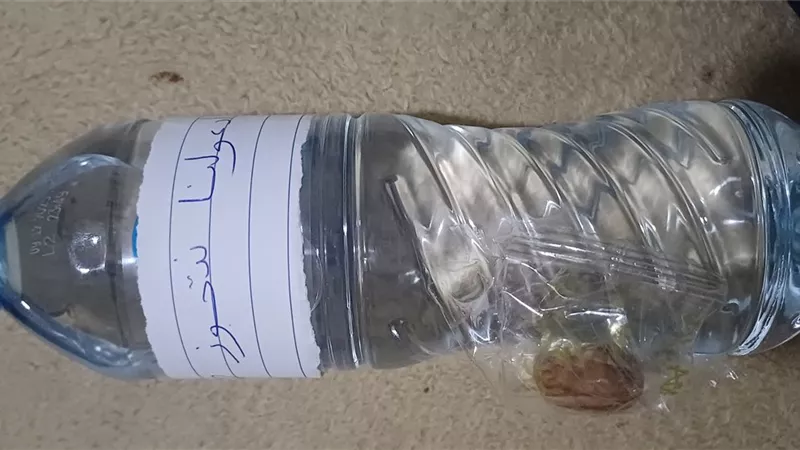 «ادعولنا نتجوز».. شاب وفتاة يوزعان زجاجات مياه على الصائمين بالإسكندرية 