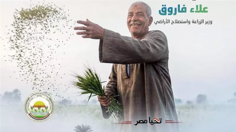 وزير الزراعة: زيادة غير مسبوقة في مساحات القمح بفضل دعم المزارعين