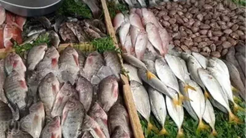 البلطي بين 80 و100 جنيه.. استقرار أسعار السمك في الأسواق اليوم