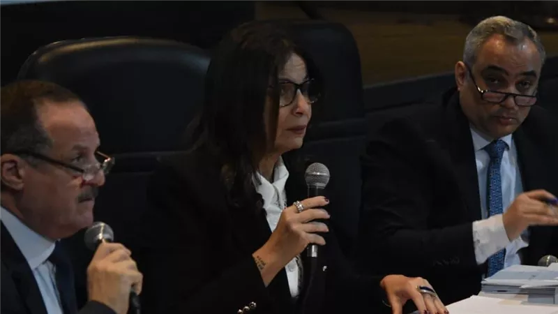 جيهان زكي: المهرجانات الثقافية والفنية رافد مهم من دعائم الإبداع
