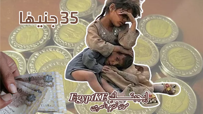 الإفتاء تحدد قيمة زكاة الفطر 2026 بالحبوب والجنيه وموعد إخراجها (تفاصيل)
