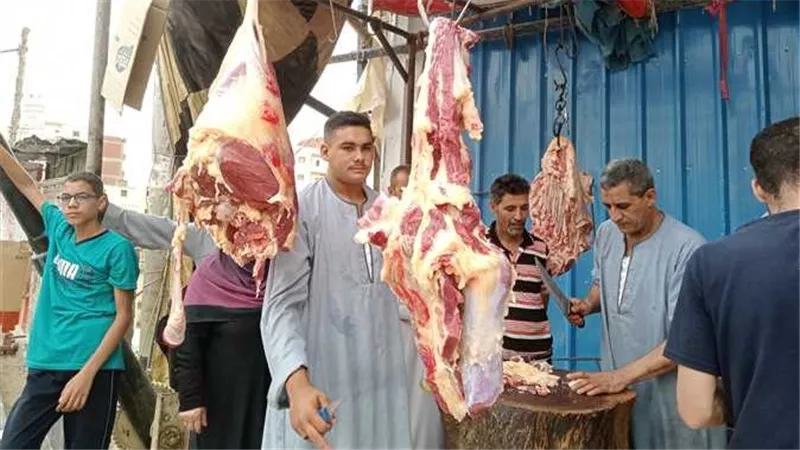 هتبقى بـ 50 جنيها.. القصابين: مشروع قومي يخفض أسعار اللحوم لأدنى مستوى|خاص