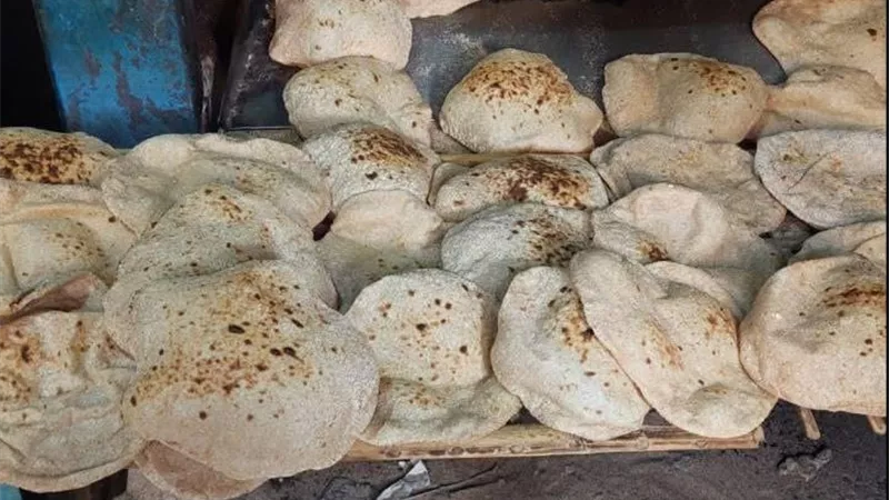 نقص وزن الرغيف.. تحرير 47 محضر مخالفة للمخابز غير الملتزمة بالشرقية 