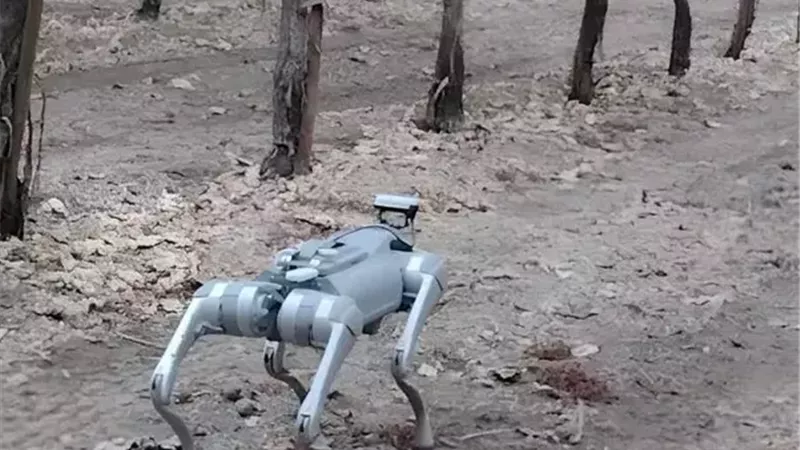 الكلب الروبوت يغير مستقبل الزراعة.. دقة أعلى وهدر أقل