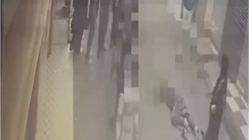 ضبط متهم بالتعدي على طليقته بساطور في أحد شوارع قرية إخناوي بمركز طنطا