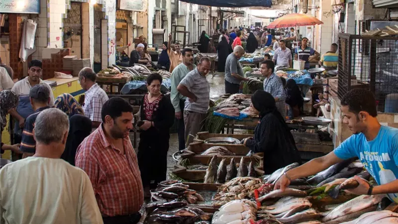 أسعار السمك اليوم .. البلطي بين 59 و100 جنيه للكيلو