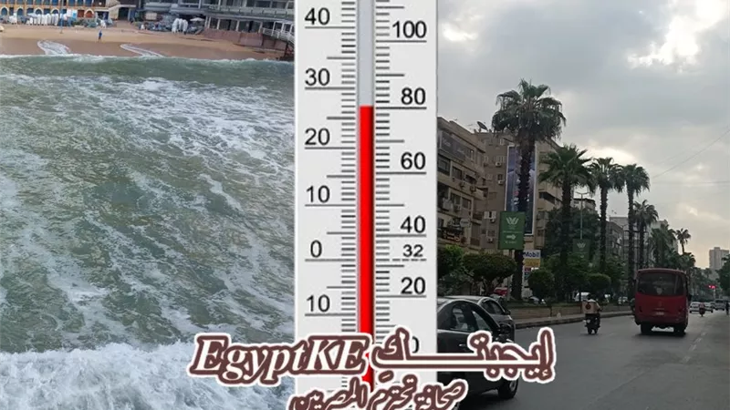 طقس الشرقية اليوم.. بارد في الصباح الباكر و دافئ خلال ساعات النهار