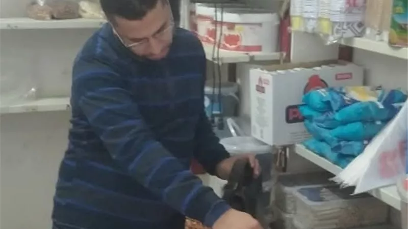 حملات رقابية مكثفة بمركز دسوق للتأكد من جودة المواد الغذائية