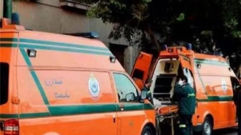 فاجعة على الطريق.. مصرع 3 وإصابة 20 آخرين في  تصادم سيارتين ببني سويف 