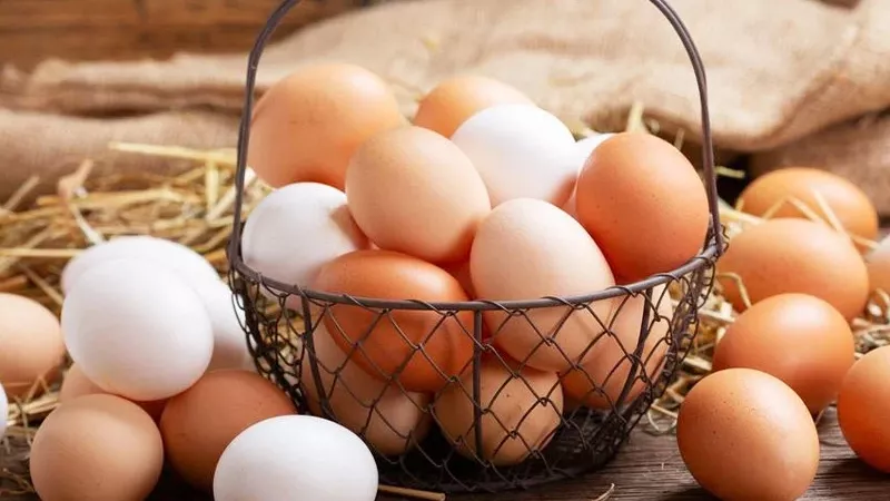 سعر كرتونة البيض الأبيض والأحمر والبلدي اليوم الأحد 8-3-2026