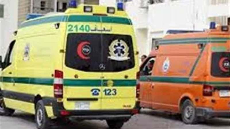 وفاة شاب صدمته سيارة على الطريق الدائري بماقوسة فى المنيا 