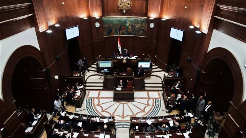 «تضامن الشيوخ» توافق على إصدار دليل شامل للفئات الأولى بالرعاية