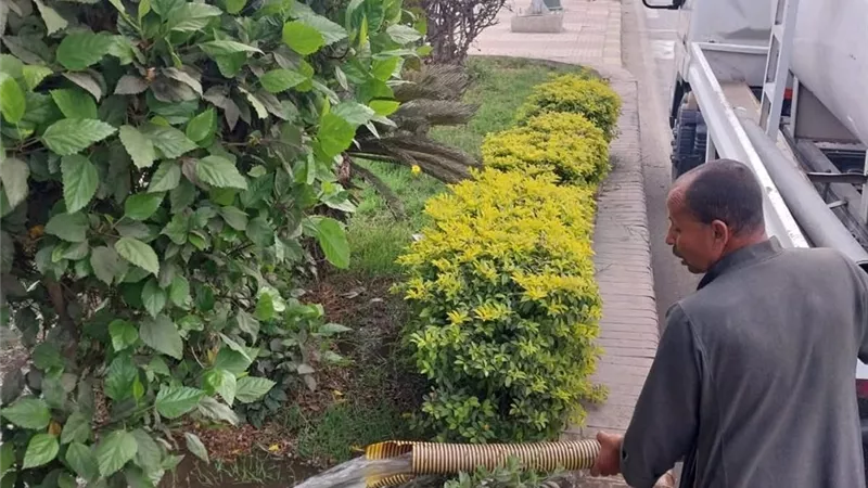 وحدة مدينة المنيا تنفذ حملات مكثفة للعناية بالمسطحات الخضراء والحدائق