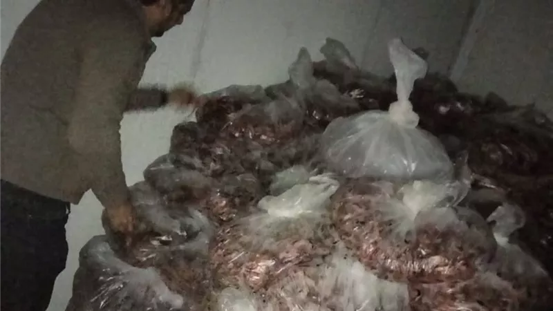 ضبط أكثر من 600 كيلو استاكوزا مجهولة المصدر بأسواق الغربية
