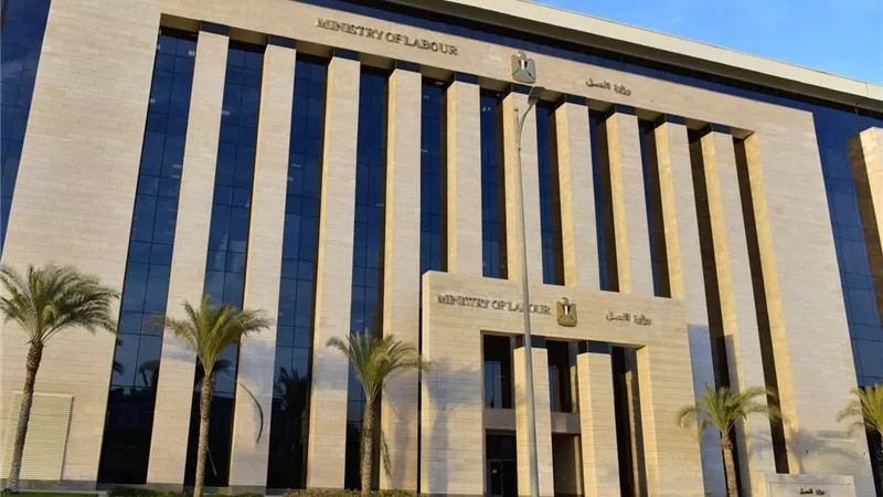 نشاط مكثف لمديريات «العمل».. تدريب وتشديد رقابي بالمحافظات