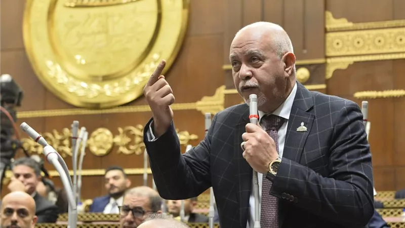 حازم الجندي: كلمة الرئيس في 