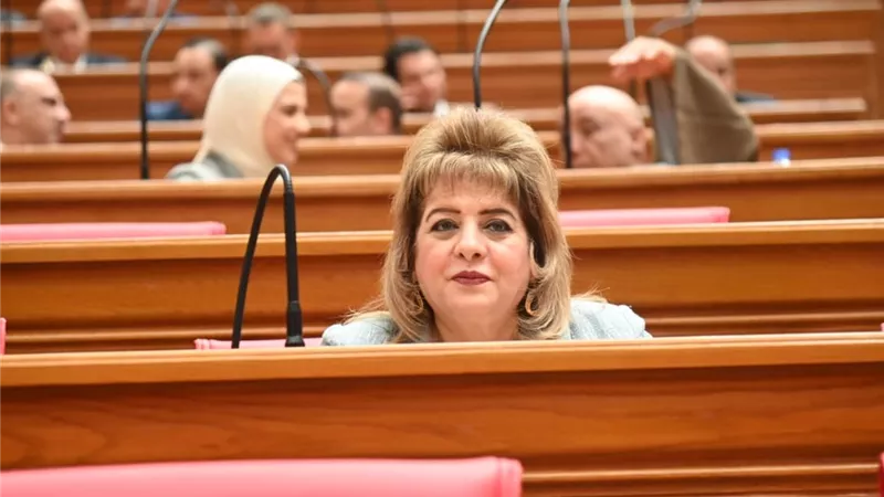 «خارجية النواب»: كلمة الرئيس السيسي رسالة قوة ووحدة في مواجهة التحديات