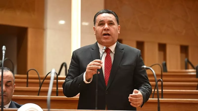 النائب عماد الغنيمي: مصر بقيادة الرئيس السيسي قادرة على تجاوز التحديات