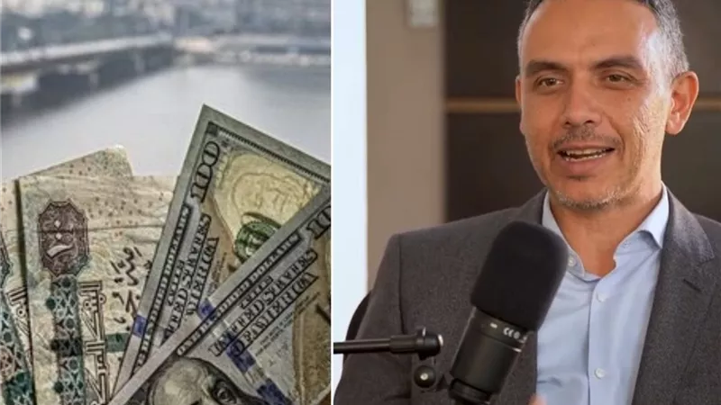 هاني جنينة: المركزي توقف عن طباعة النقود منذ عامين والتضخم سيسجل 16%