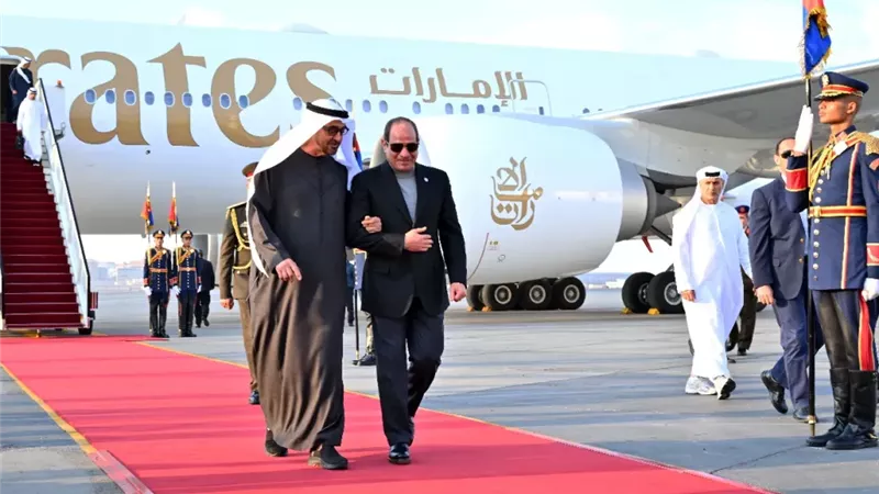 النواب لـ